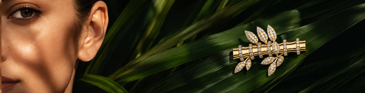 Bamboo