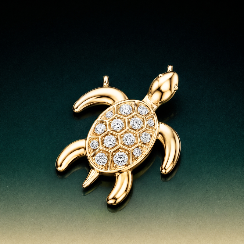 Turtle